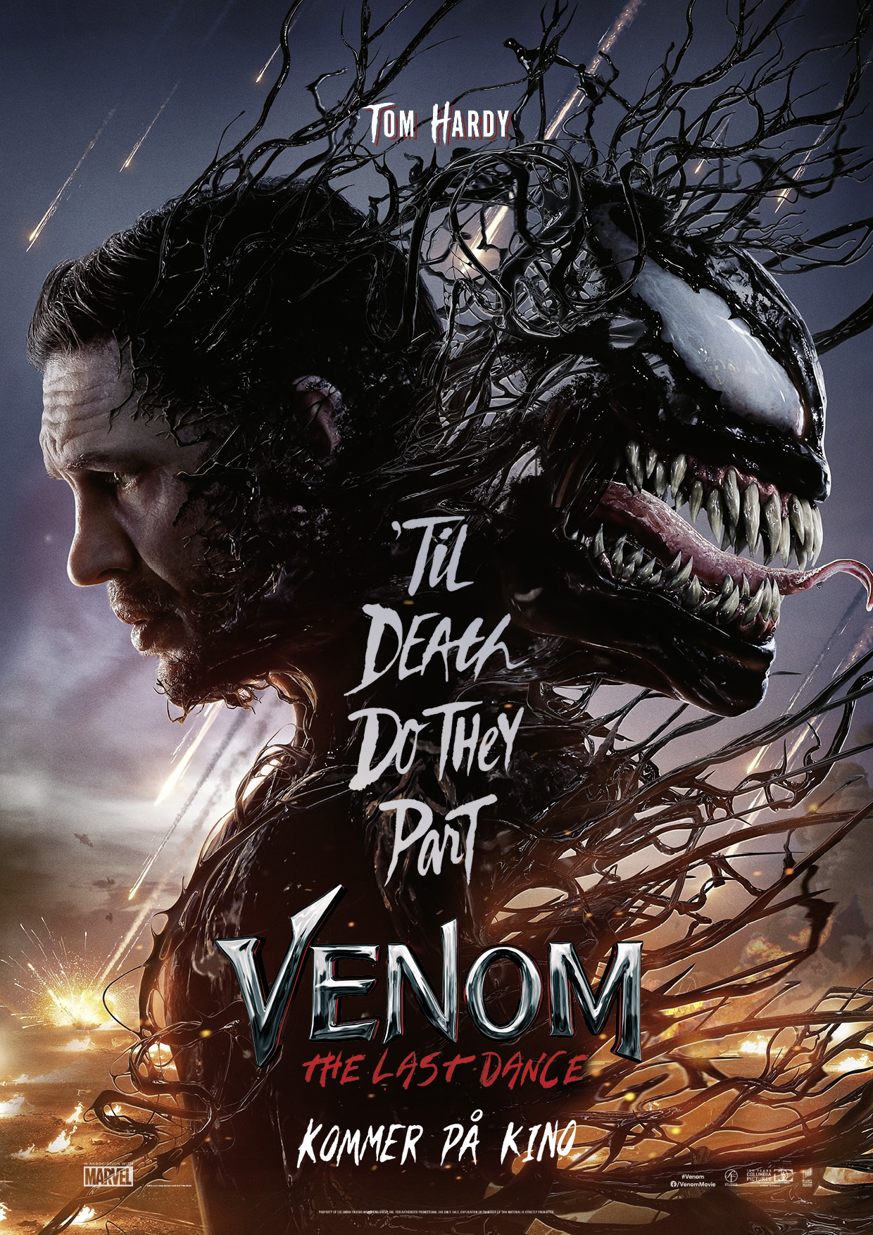 Kinoplakat for Venom: The Last Dance