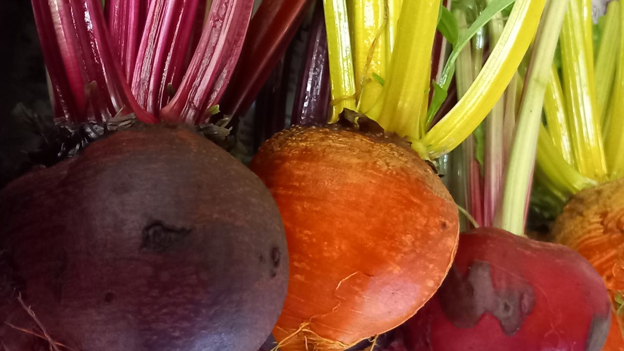 Plakat for Berekraftsveka: Gode dyrkingsråd med Johannes Nome