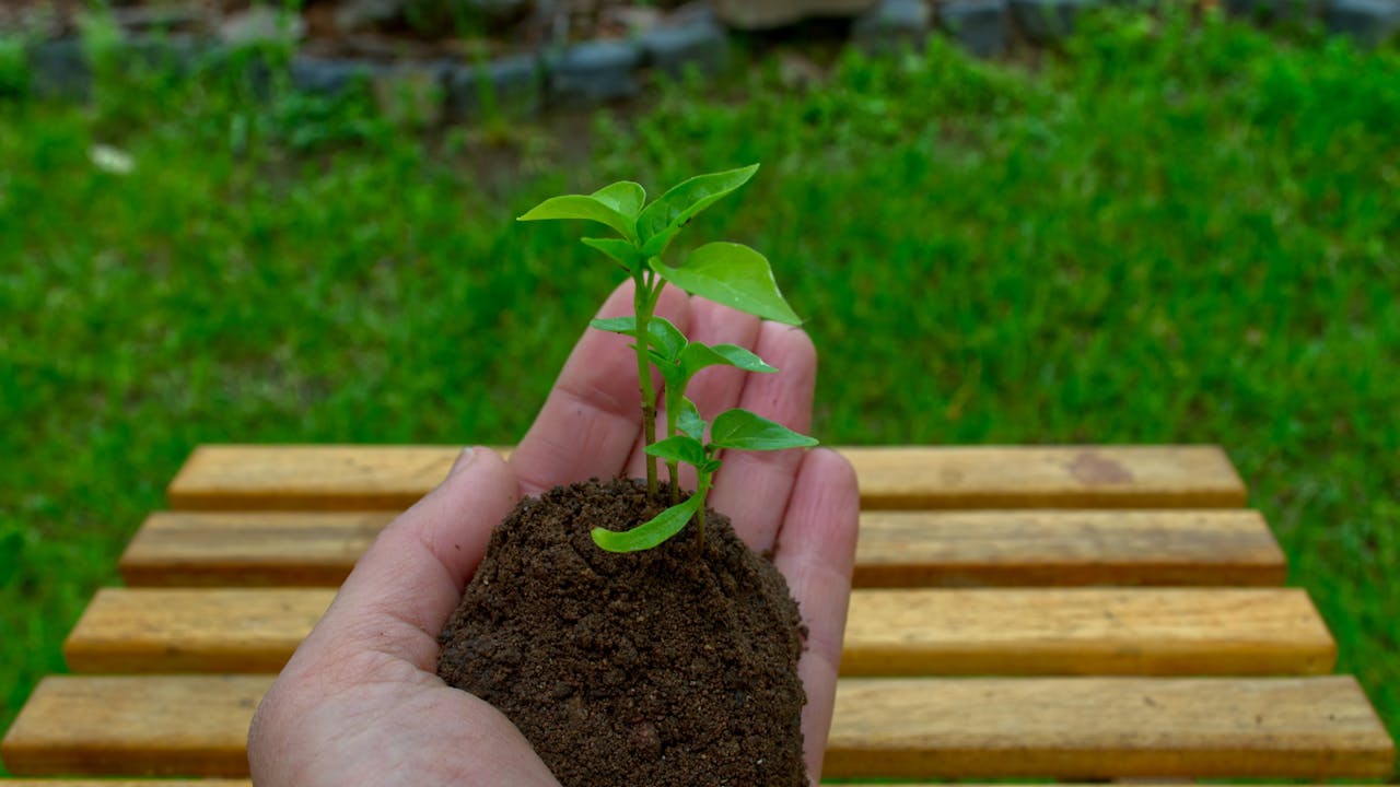 Plakat for Berekraftig FAMILIElaurdag med klesbytedag og sådag