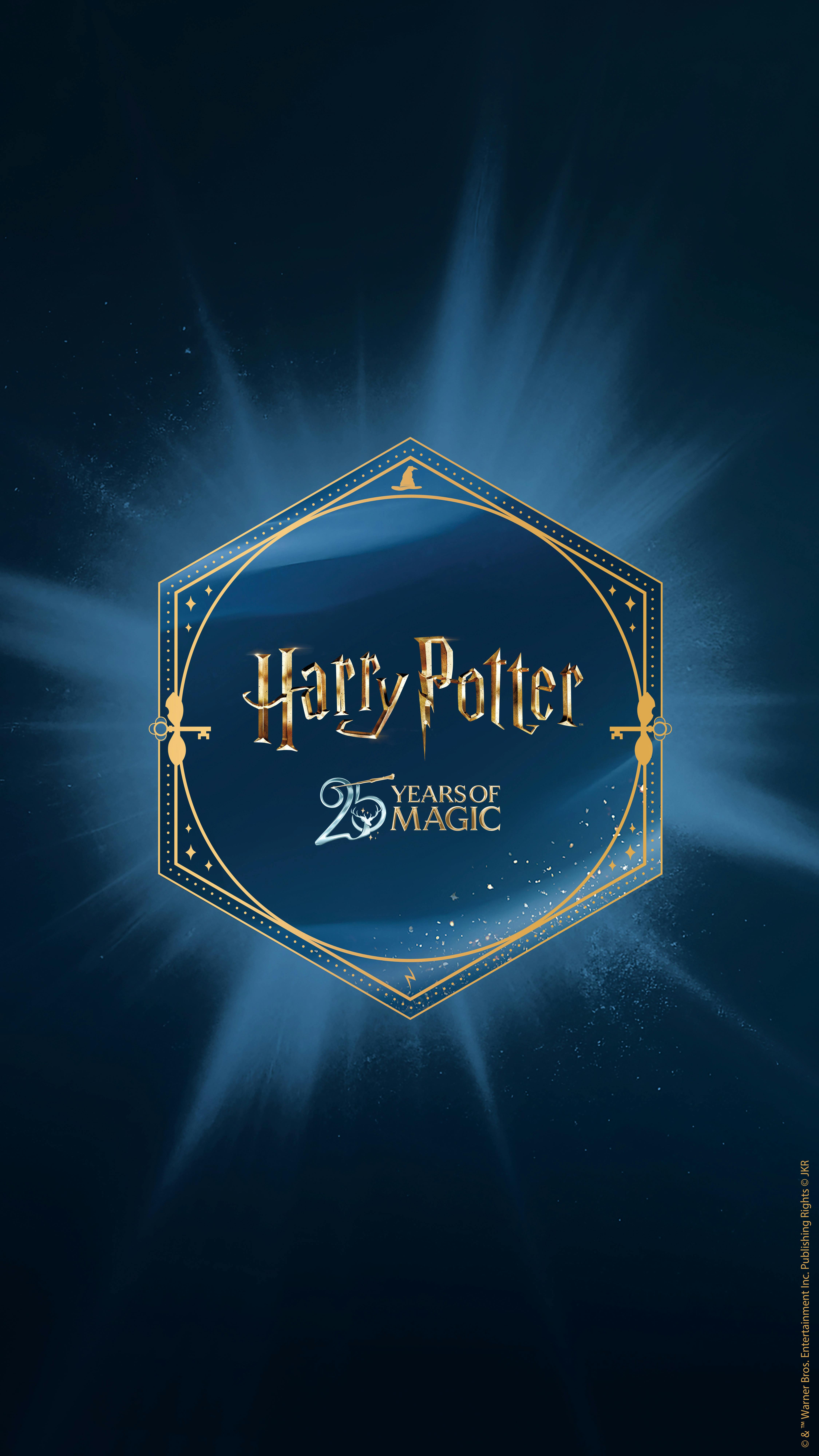 Harry Potter maraton 5-8