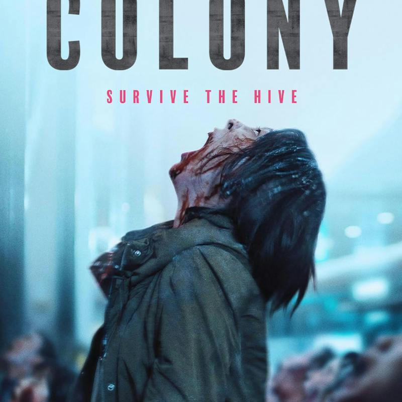 Colony